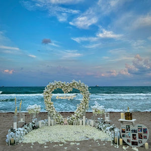 My Dream Picnic